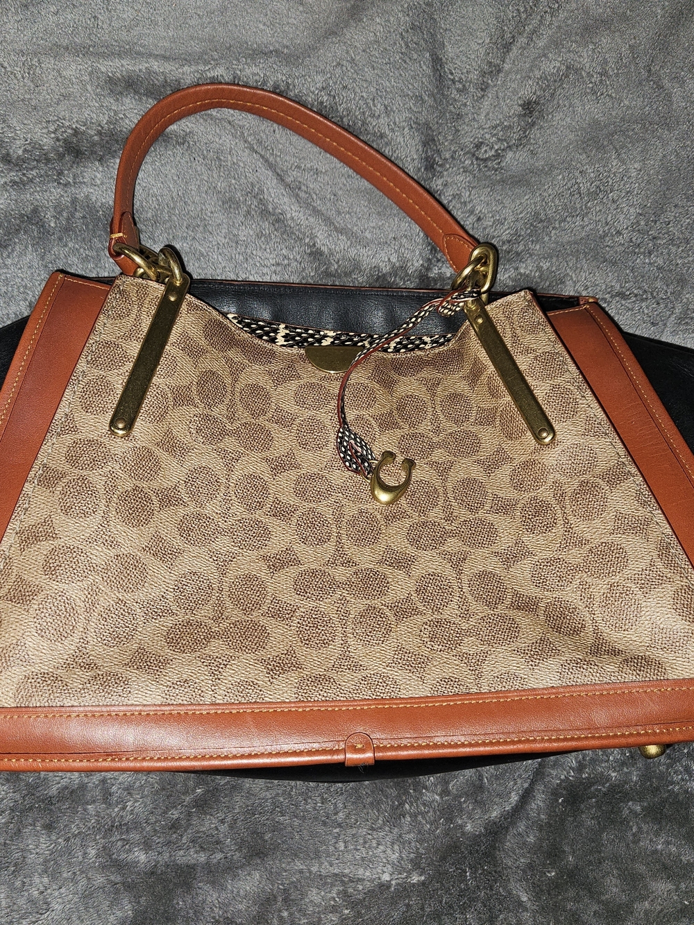 Coach Dreamer 36 in Signature Canvas with Snakeskin Detail